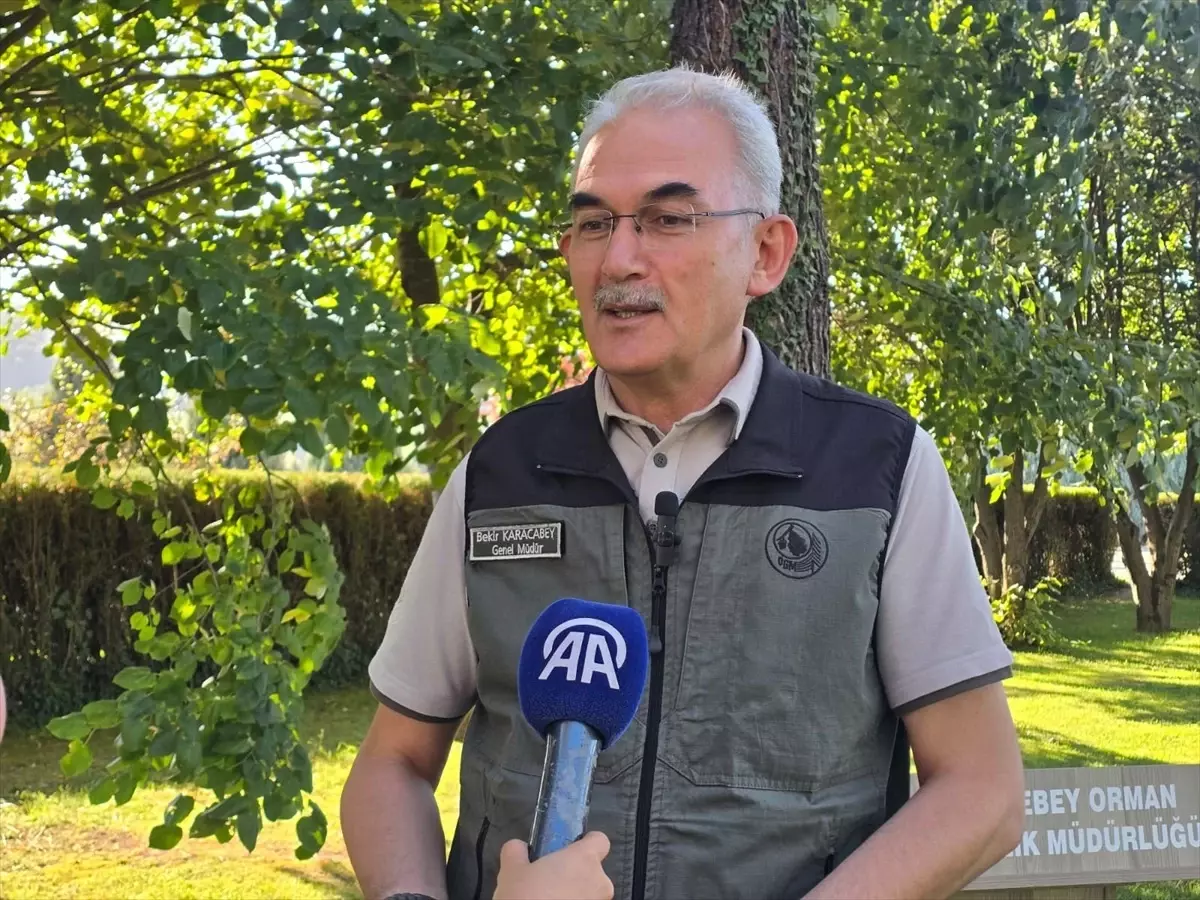 İhmal ve dikkatsizlikle çıkan orman yangınlarına karşı farkındalık bilinci önemli