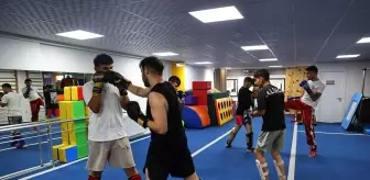 Nevşehir'in Genç Kick Boks Takımı Türkiye Şampiyonası'nda Başarı Elde Etti