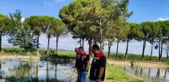 Edirne'de Su Ürünleri Kontrolleri Yapıldı
