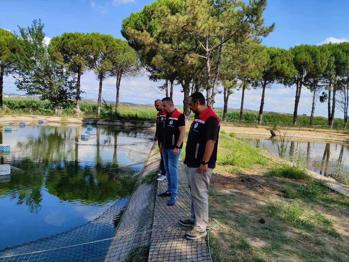 Edirne'de Su Ürünleri Kontrolleri Yapıldı