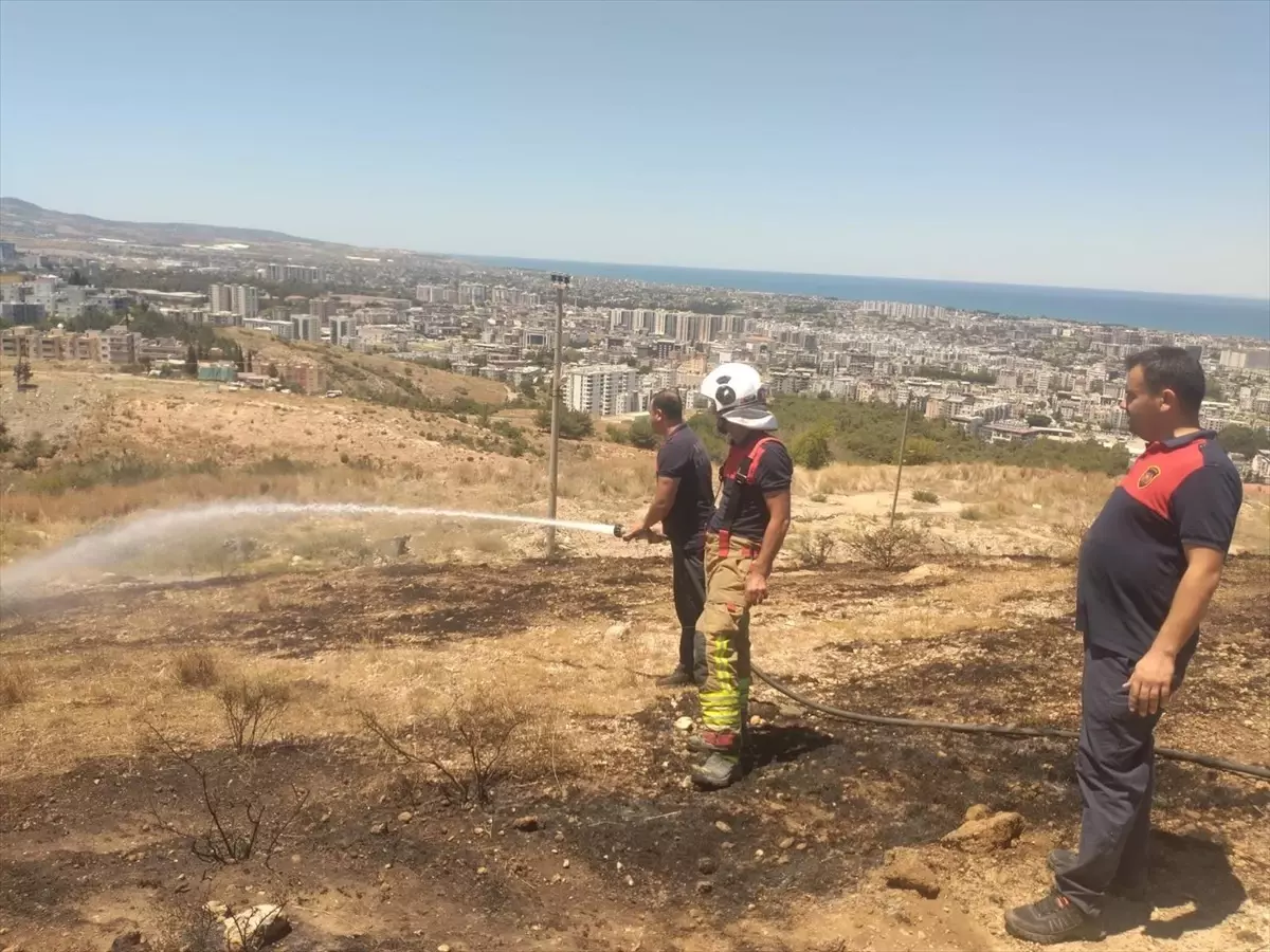 İskenderun'da Otluk Alanda Yangın Çıktı