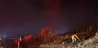 Eğirdir'deki Orman Yangını Söndürüldü