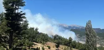 Isparta Sütçüler'de Orman Yangını Çıktı