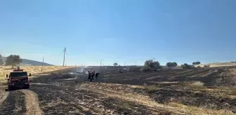 Isparta'da Ekin Tarlasında Yangın: 500 Metrekare Alan Zarar Gördü