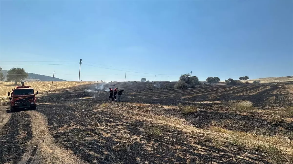 Isparta'da Ekin Tarlasında Yangın: 500 Metrekare Alan Zarar Gördü