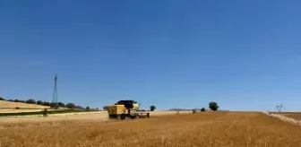 Isparta'da Hububat Hasadı Başladı