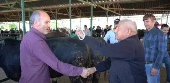 Isparta'da Kurban Bayramı Hazırlıkları Hız Kazandı