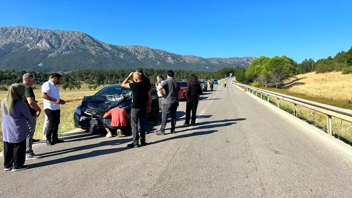Aksu'da Büyükbaş Hayvana Çarpan Otomobil Kazası
