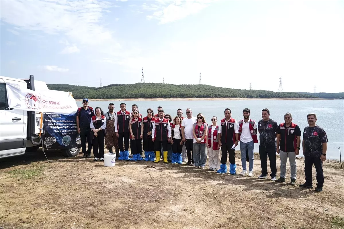 İstanbul'da 3.7 Milyon Sazan Yavrusu Göletlere Bırakıldı