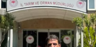 İstanbul'da geçen yıl çiftçilere dağıtılan tohumların yüzde 80'i yerli üretim