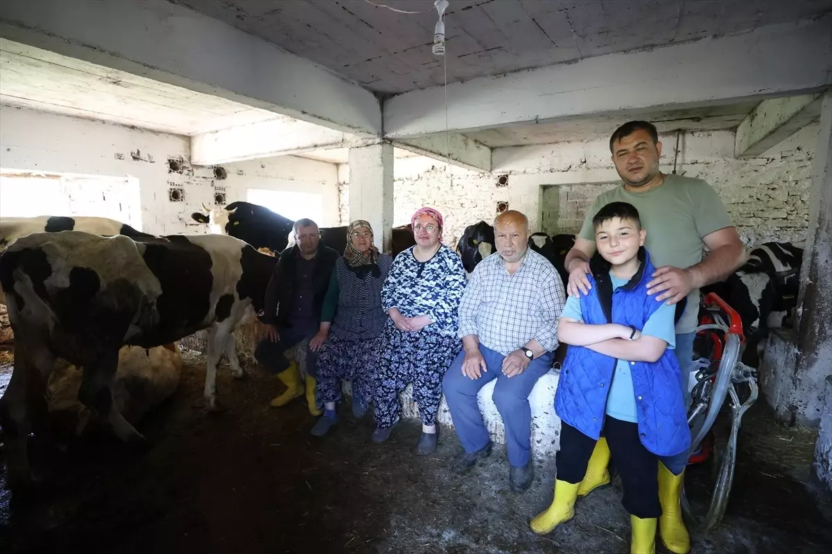 İstanbul'dan Köye Dönüş: Dalkıran Ailesi Hayvancılıkla Yeni Bir Hayat Kurdu