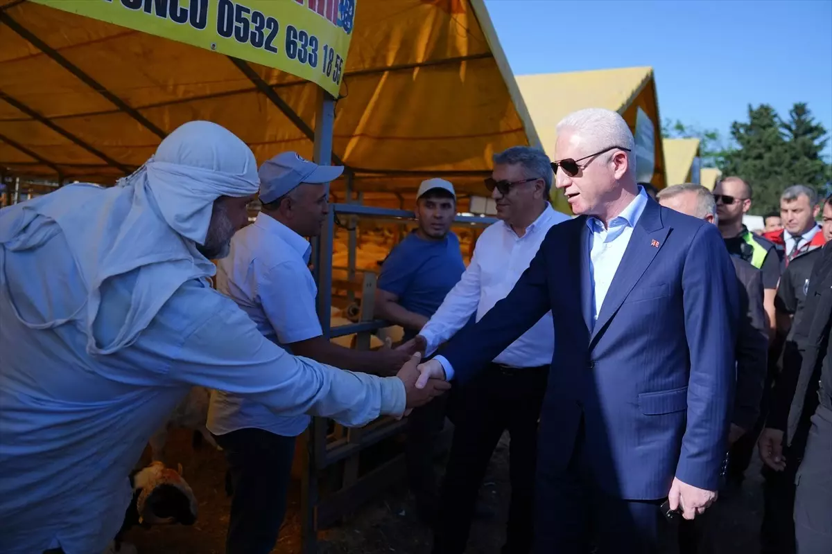 İstanbul Valisi Davut Gül, Kurban Bayramı'nda Esnafa Ziyaret ve Denetimlerde Bulundu