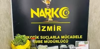 İzmir'de Uyuşturucu Operasyonu: 22 Kilo Esrar Ele Geçirildi