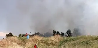 İzmir Balçova'da Ağaçlık Alanda Yangın Çıktı
