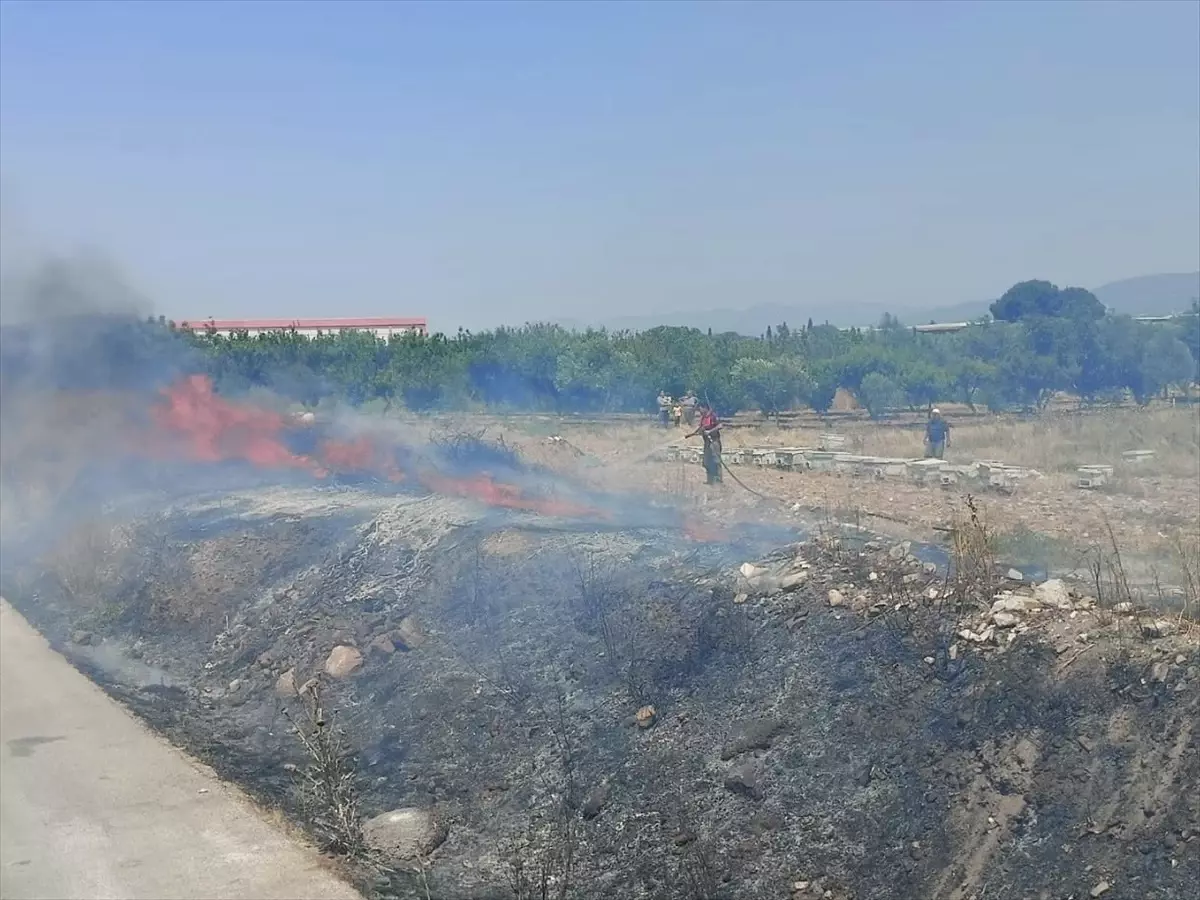İzmir Kemalpaşa'da Boş Arazide Yangın Kontrol Altına Alındı