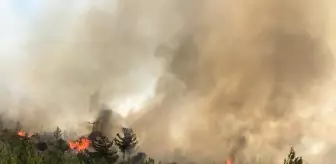 Karaburun'da Orman Yangınına Havadan ve Karadan Müdahale