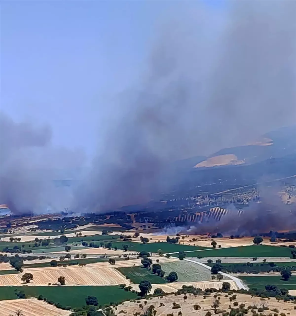 İzmir'in Kınık İlçesinde Orman Yangınına Müdahale Başlatıldı