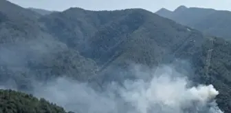 İzmir Narlıdere'de Orman Yangınına Hızla Müdahale Ediliyor