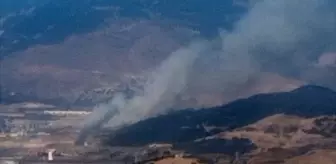 İzmir Aliağa'da Çöplük Yangını Ormana Sıçradı