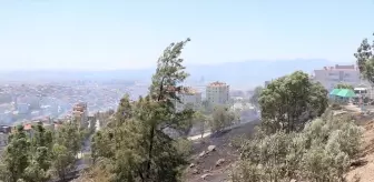 İzmir'de Otluk Alanlarda Yangın Kontrol Altına Alındı