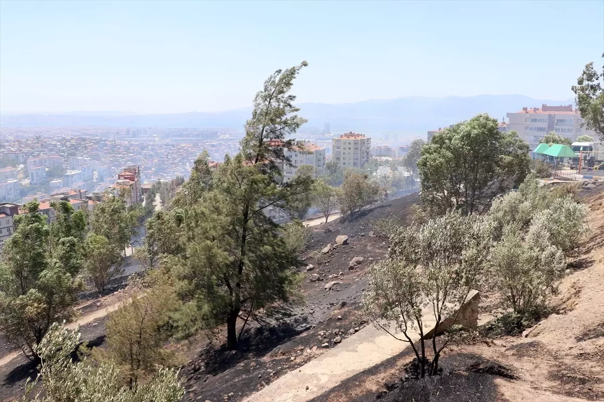 İzmir'de Otluk Alanlarda Yangın Kontrol Altına Alındı