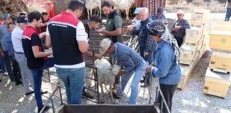 İzmir'deki Orman Yangınlarında Zarar Gören Hayvanlar ve Arı Kovanları Yeniden Dağıtılmaya Başlandı