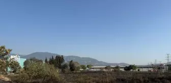 Bornova'da Otluk Alanda Yangın: Araç Hasar Gördü