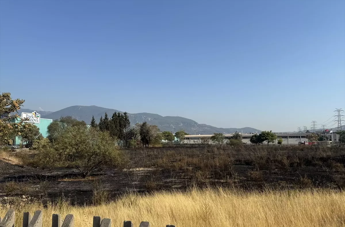 Bornova'da Otluk Alanda Yangın: Araç Hasar Gördü