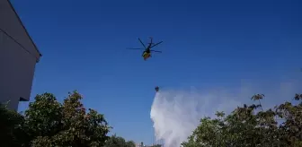 İzmir Buca'da Otluk Alanda Yangın Kontrol Altına Alındı