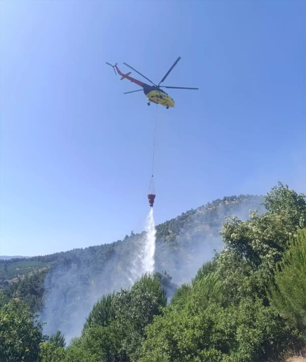İzmir Ödemiş'te Otluk Alanda Yangın Çıktı