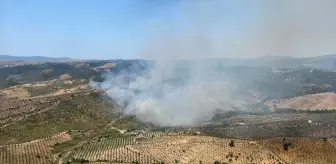 İzmir Seferihisar'da Otluk Alan Yangınına Hava ve Kara Müdahalesi