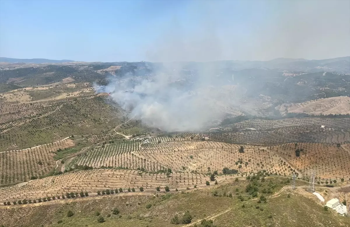 İzmir Seferihisar'da Otluk Alan Yangınına Hava ve Kara Müdahalesi