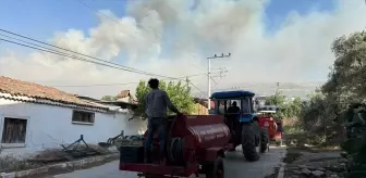 Tire'de Otluk Alanda Yangın Çıktı