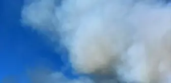 Kemalpaşa'daki Yangın Kontrol Altına Alındı