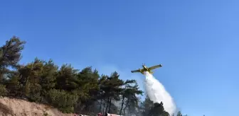 Kemalpaşa'da Tır Yangını Ormana Sıçradı, Kontrol Altına Alındı