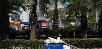 İzmir'de Çöp Yığınları ve Kötü Koku Vatandaşları Rahatsız Ediyor