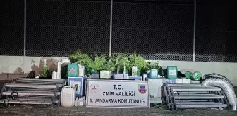 Seferihisar'da Uyuşturucu Operasyonu: 183 Kök Skunk Ele Geçirildi