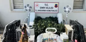 İzmir'de Uyuşturucu Operasyonu: 1 Gözaltı