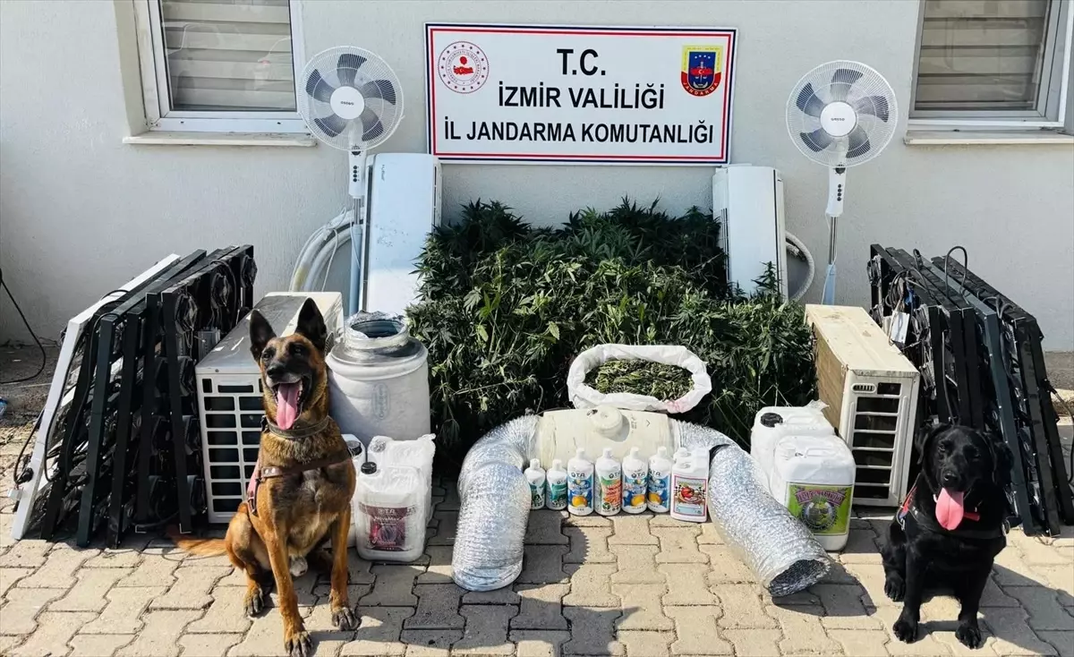 İzmir'de Uyuşturucu Operasyonu: 1 Gözaltı