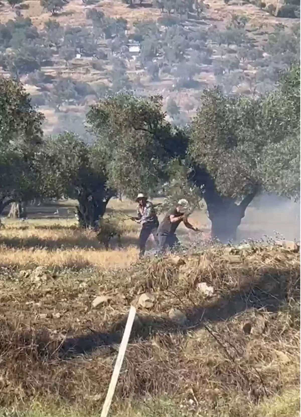 Bayındır'daki Zeytinlik Alanda Yangın Söndürüldü