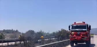 Urla'da Zeytinlik Alanda Yangın Kontrol Altına Alındı
