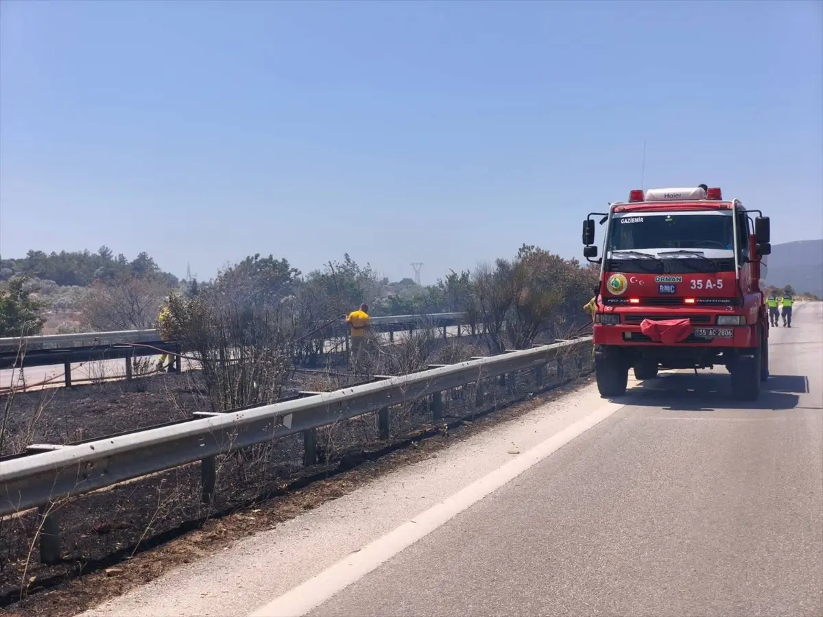 Urla'da Zeytinlik Alanda Yangın Kontrol Altına Alındı