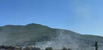 İzmir Kemalpaşa'da Zirai Yangın Kontrol Altına Alındı