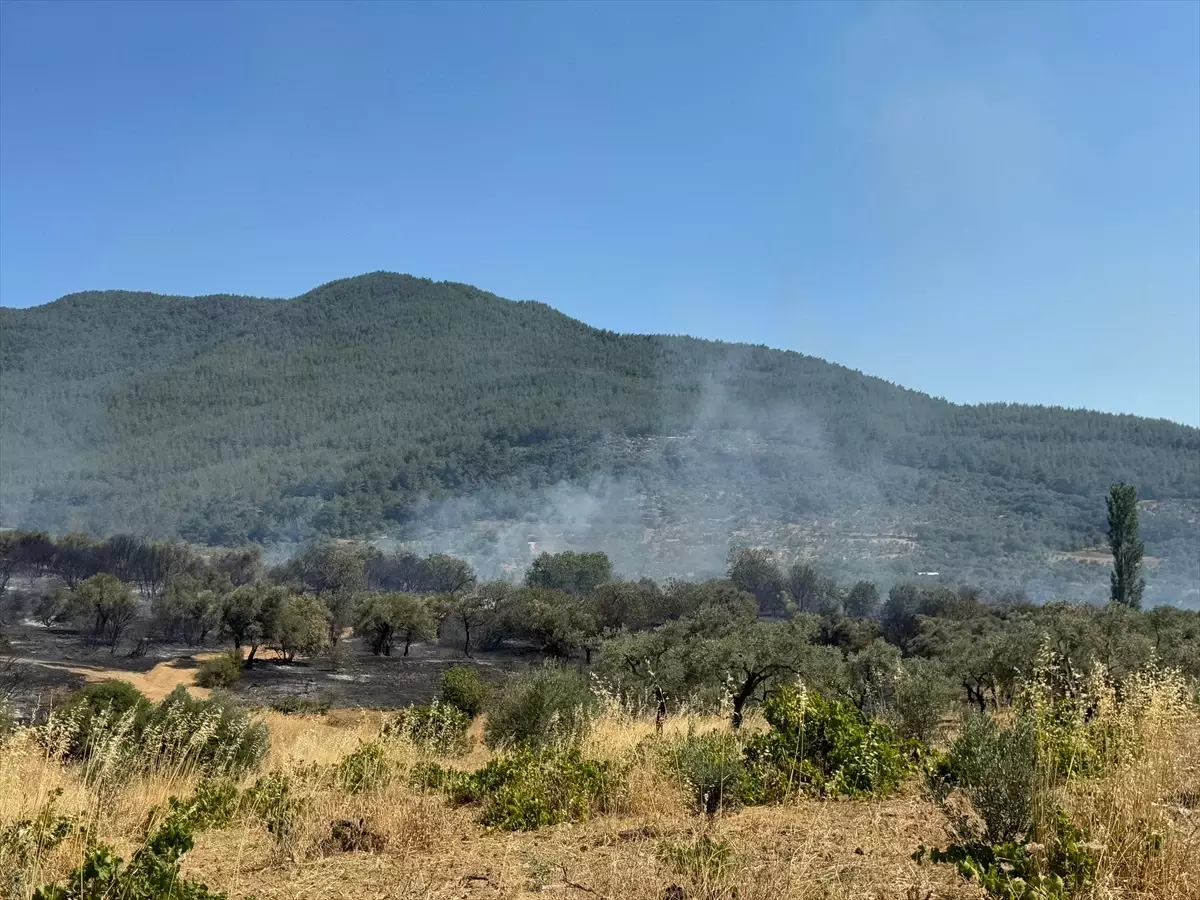 İzmir Kemalpaşa'da Zirai Yangın Kontrol Altına Alındı