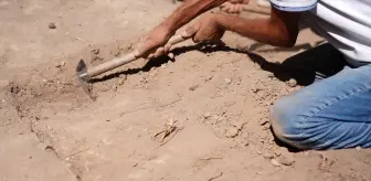 Smyrna Höyüğü'nde 5 Bin Yıllık Geçmişi Aydınlatacak Kazılar Devam Ediyor