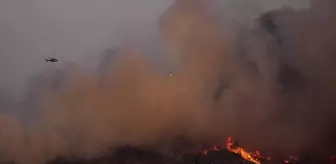 Buca'da Orman Yangınına Havadan ve Karadan Müdahele Devam Ediyor