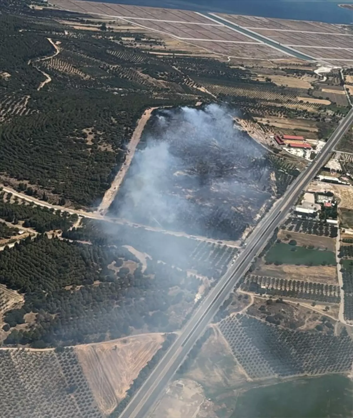 İzmir Aliağa'da Orman Yangınına Hava ve Kara Müdahalesi