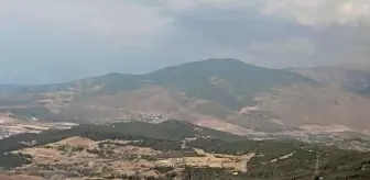 İzmir Aliağa'da Orman Yangınına Müdahele Başladı