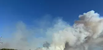 İzmir Buca'da Orman Yangınına Müdahale Başladı