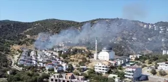 Dikili'de Makilik Yangınına Ekipler Müdahale Ediyor